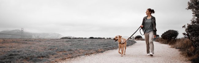 encouraging-inactive-individuals-to-embrace-physical-activity encouraging-inactive-individuals-to-embrace-physical-activity