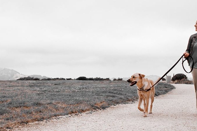 encouraging-inactive-individuals-to-embrace-physical-activity