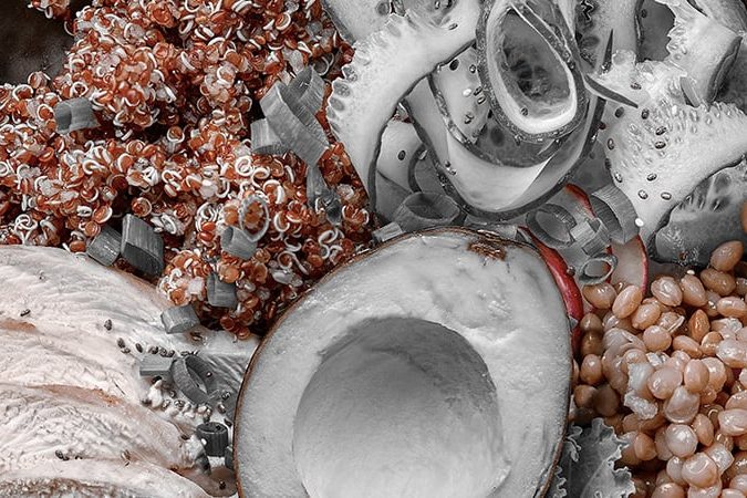 rethinking-fat’s-essential-role-in-a-healthy-diet